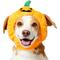 Show in main carousel: Frisco Pumpkin Dog & Cat Hat Costume, Medium/Large slide 1 of 9