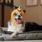 Show in main carousel: Frisco Pumpkin Dog & Cat Hat Costume, Medium/Large slide 6 of 9
