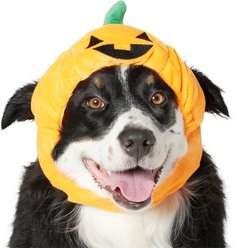 Frisco Pumpkin Dog & Cat Hat Costume, X-Large/XX-Large