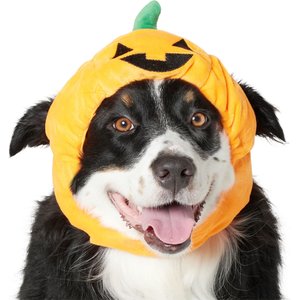 Frisco Pumpkin Dog & Cat Hat Costume, X-Large/XX-Large