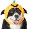 Show in main carousel: Frisco Pumpkin Dog & Cat Hat Costume, X-Large/XX-Large slide 1 of 9