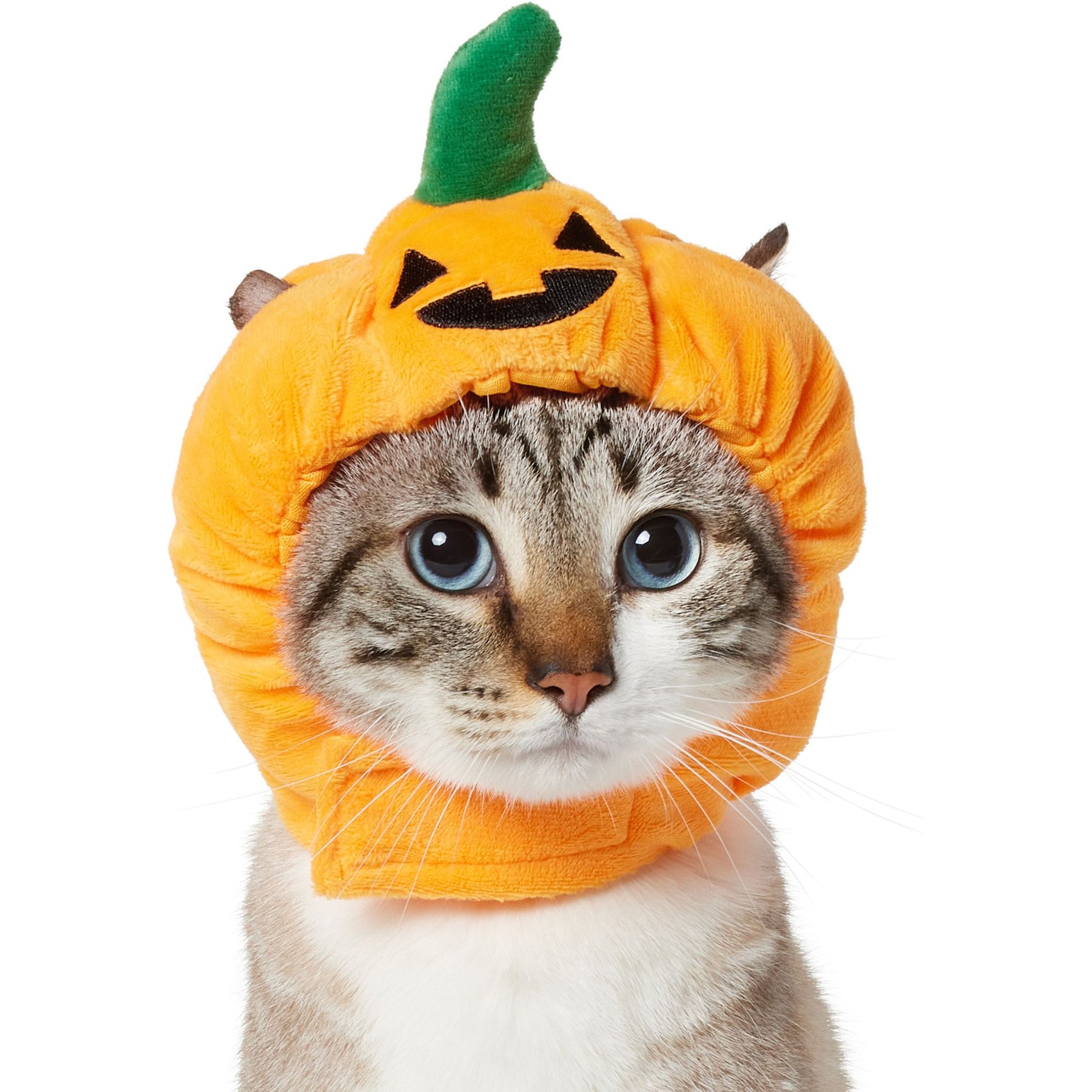 Frisco Pumpkin Dog & Cat Hat Costume, X-Small/Small