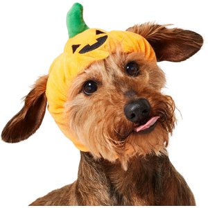 Frisco Pumpkin Dog & Cat Hat Costume, X-Small/Small