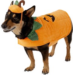 Frisco Pumpkin Jack O' Lantern Dog & Cat Costume, Large