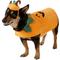 Show in main carousel: Frisco Pumpkin Jack O' Lantern Dog & Cat Costume, Large slide 1 of 9