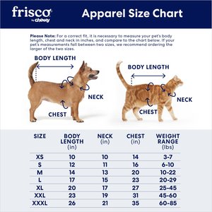 Frisco Pumpkin Jack O' Lantern Dog & Cat Costume, Large