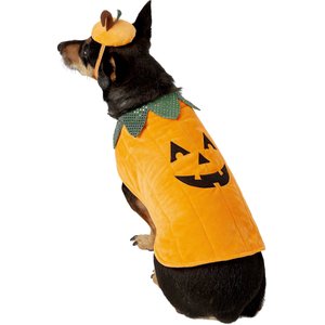 Frisco Pumpkin Jack O' Lantern Dog & Cat Costume, Large