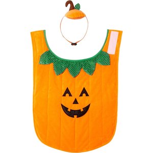 Frisco Pumpkin Jack O' Lantern Dog & Cat Costume, Large