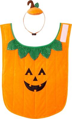 Show full view: Frisco Pumpkin Jack O' Lantern Dog & Cat Costume, Large slide 4 of 9