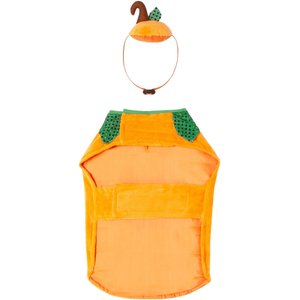 Frisco Pumpkin Jack O' Lantern Dog & Cat Costume, Large