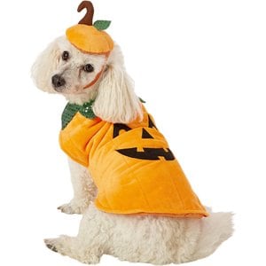 Frisco Pumpkin Jack O' Lantern Dog & Cat Costume, Medium