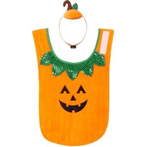 Frisco Pumpkin Jack O' Lantern Dog & Cat Costume, Medium