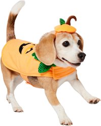 Frisco Pumpkin Jack O' Lantern Dog & Cat Costume, Small