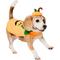 Show in main carousel: Frisco Pumpkin Jack O' Lantern Dog & Cat Costume, Small slide 1 of 9
