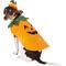 Show in main carousel: Frisco Pumpkin Jack O' Lantern Dog & Cat Costume, Small slide 3 of 9