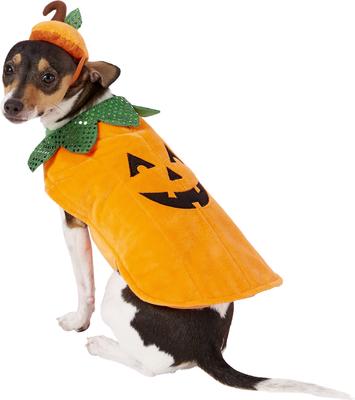 Show full view: Frisco Pumpkin Jack O' Lantern Dog & Cat Costume, Small slide 3 of 9