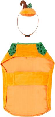 Show full view: Frisco Pumpkin Jack O' Lantern Dog & Cat Costume, Small slide 5 of 9