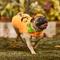 Show in main carousel: Frisco Pumpkin Jack O' Lantern Dog & Cat Costume, Small slide 7 of 9