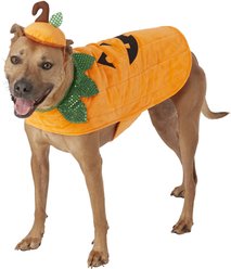 Frisco Pumpkin Jack O' Lantern Dog & Cat Costume, X-Large