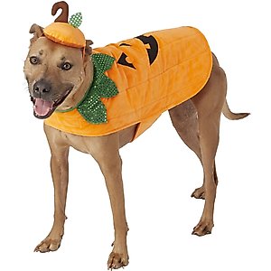 Frisco Hotdog Dog & Cat Costume