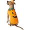 Show in main carousel: Frisco Pumpkin Jack O' Lantern Dog & Cat Costume, X-Large slide 3 of 9