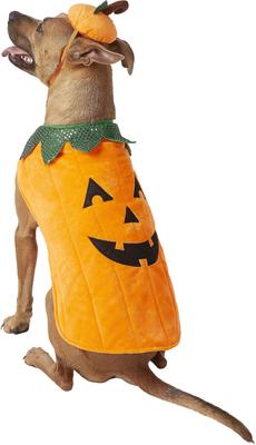 Show full view: Frisco Pumpkin Jack O' Lantern Dog & Cat Costume, X-Large slide 3 of 9