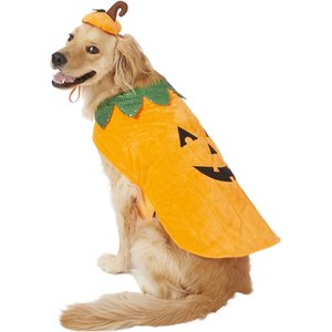 Frisco Pumpkin Jack O' Lantern Dog & Cat Costume, XX-Large