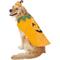 Show in main carousel: Frisco Pumpkin Jack O' Lantern Dog & Cat Costume, XX-Large slide 1 of 9