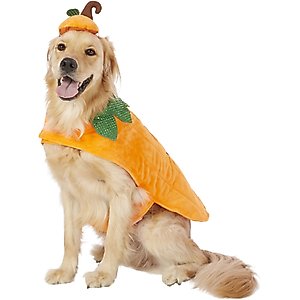 Frisco Pumpkin Jack O' Lantern Dog & Cat Costume, XX-Large