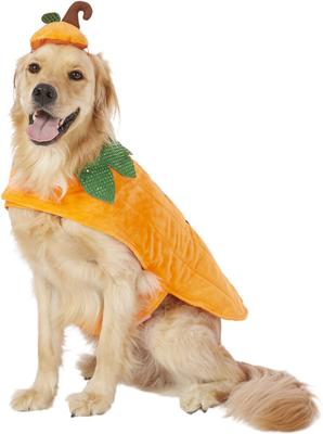 Show full view: Frisco Pumpkin Jack O' Lantern Dog & Cat Costume, XX-Large slide 3 of 9