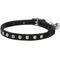 Show in main carousel: Frisco Punk Velvet Cat Collar, Black, 8 to 12-in neck, 3/8-in wide slide 1 of 7