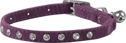 Frisco Punk Velvet Cat Collar, Purple, 8 to 12-in neck, 3/8-in wide
