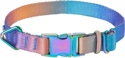 Frisco Purple Ombre Style Dog Collar, LG - Neck: 18 – 26-in, Width: 1-in