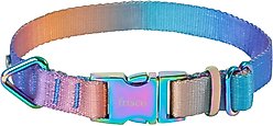 Frisco Purple Ombre Style Dog Collar, MD - Neck: 14 – 20-in, Width: 3/4-in
