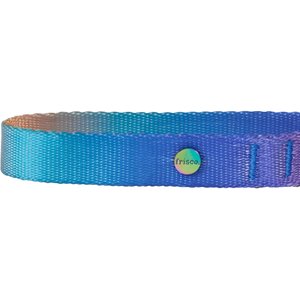 Frisco Purple Ombre Style Dog Collar, MD - Neck: 14 – 20-in, Width: 3/4-in