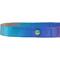 Show in main carousel: Frisco Purple Ombre Style Dog Collar, SM - Neck: 10 – 14-in, Width: 5/8-in slide 4 of 7