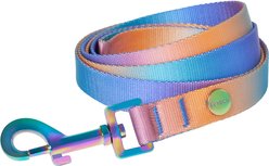 Frisco Purple Ombre Style Dog Leash, MD - Length: 6-ft, Width: 3/4-in