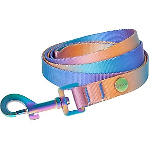 Frisco Purple Ombre Style Dog Leash, MD - Length: 6-ft, Width: 3/4-in