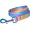 Show in main carousel: Frisco Purple Ombre Style Dog Leash, SM - Length: 6-ft, Width: 5/8-in slide 1 of 6