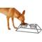 Show in main carousel: Frisco Pyramid Elevated Dog & Cat Diner, Small: 1.5 cup slide 1 of 7