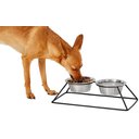 Frisco Pyramid Elevated Dog & Cat Diner, Small: 2 cup