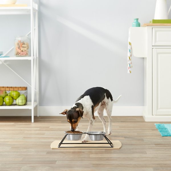Frisco Pyramid Elevated Dog & Cat Diner