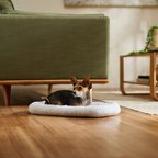 Frisco Quilted Dog Crate Mat, Ivory, 22-in