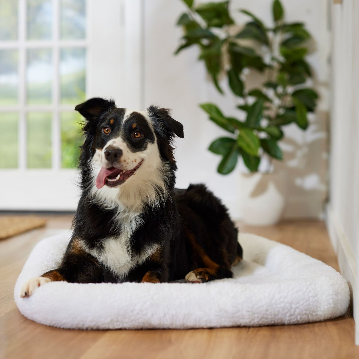Frisco Quilted Dog Crate Mat, Ivory, 42-in