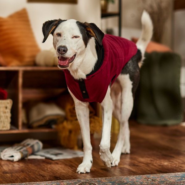 Frisco Quilted Fleece Dog & Cat Pullover Hoodie