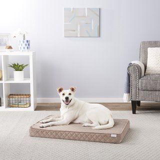 Frisco Quilted Orthopedic Pillow Lounger Cat & Dog Bed with Removable Cover, Beige, Large slide 1 of 6