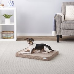 Frisco Quilted Orthopedic Pillow Lounger Cat & Dog Bed with Removable Cover, Beige, Small