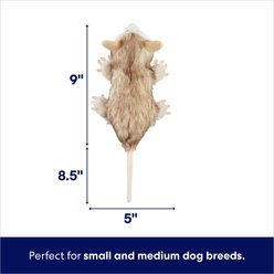 Frisco Realistic Opossum Plush Squeaky Dog Toy, Medium/Large slide 2 of 6