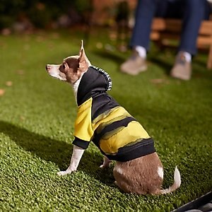 Frisco Rebel Dog & Cat Hoodie, Small