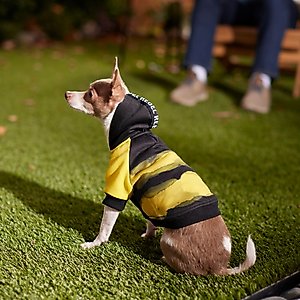 Frisco Rebel Dog & Cat Hoodie, Small